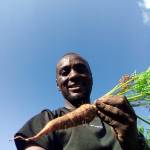 Lamin Marah Profile Picture