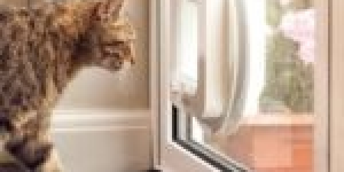 The People Who Are Closest To Cat Door Contractor Uncover Big Secrets